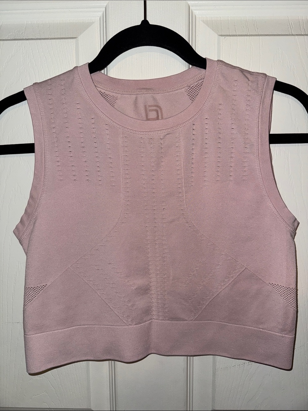 Blank Nior Dusty Pink Seamless Crop Tank